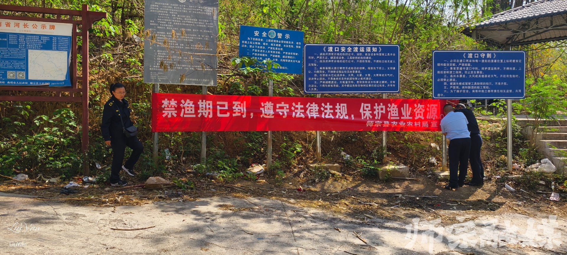 怡农园艺种苗